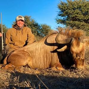 Meet your Posher, Rosie